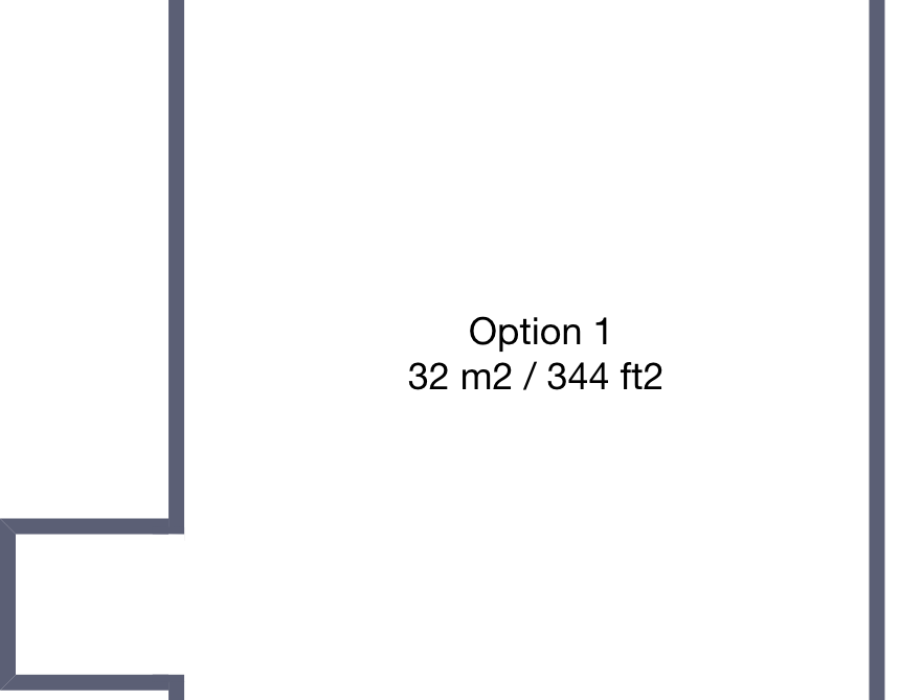 Option 1