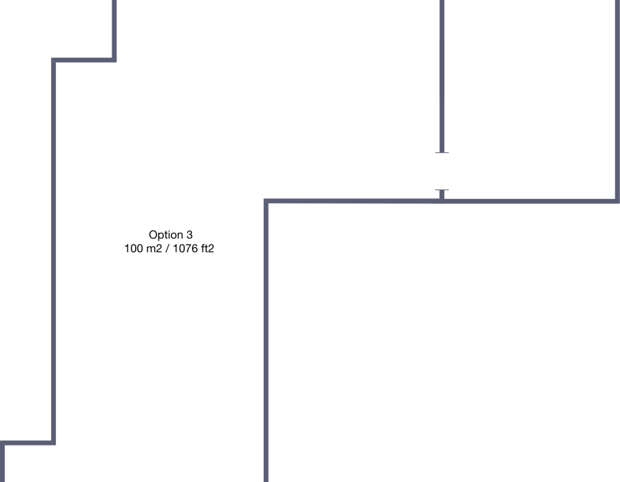 Option 3